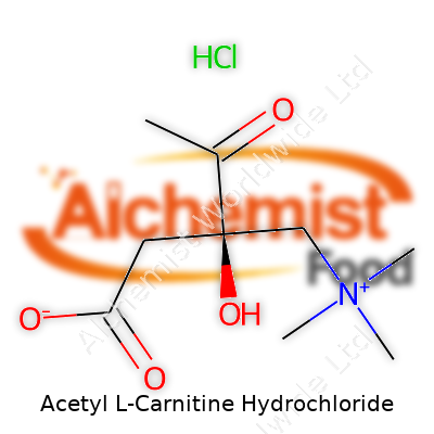 Acetyl L-Carnitine Hydrochloride