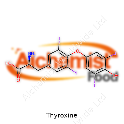 Thyroxine