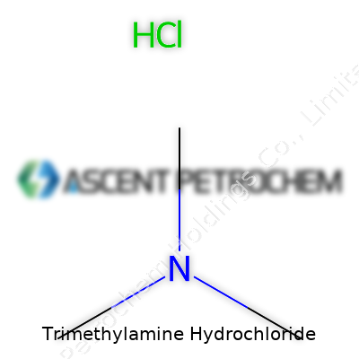 Trimethylamine Hydrochloride