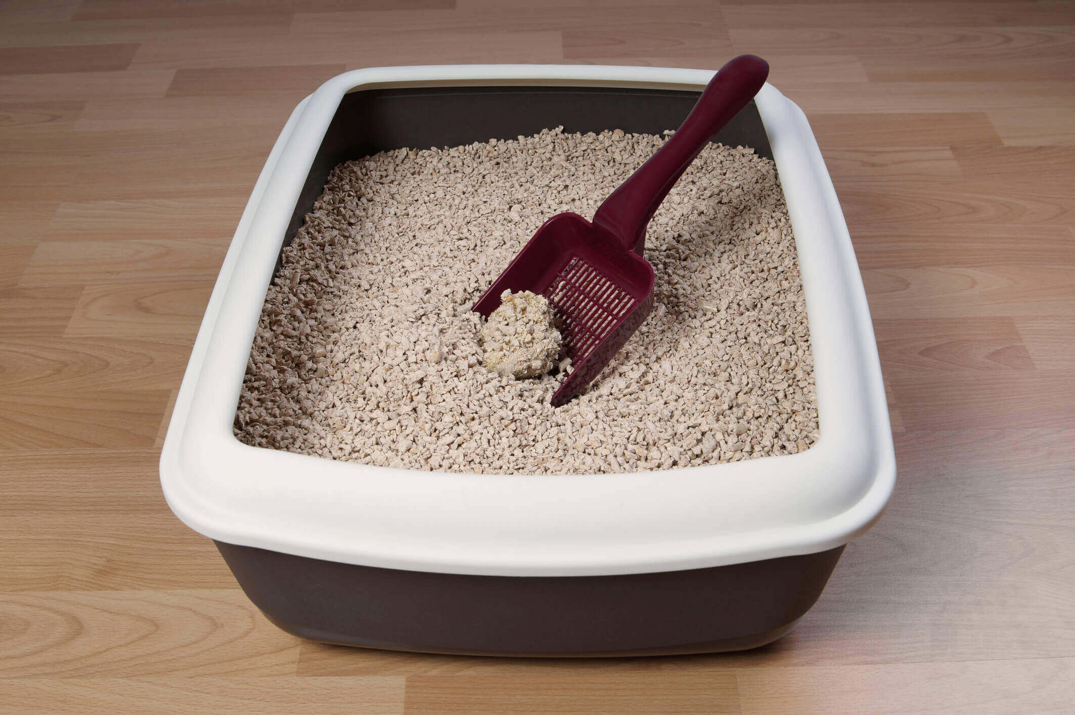 Litter Box Fillers