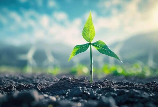 Environmental Protection