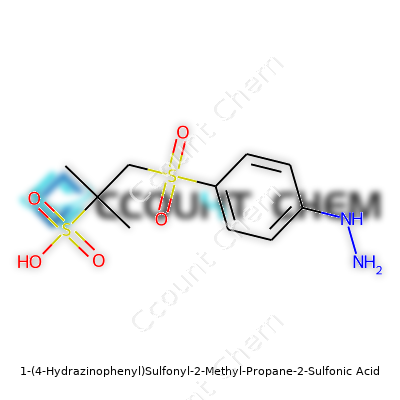 1-(4-Hydrazinophenyl)Sulfonyl-2-Methyl-Propane-2-Sulfonic Acid
