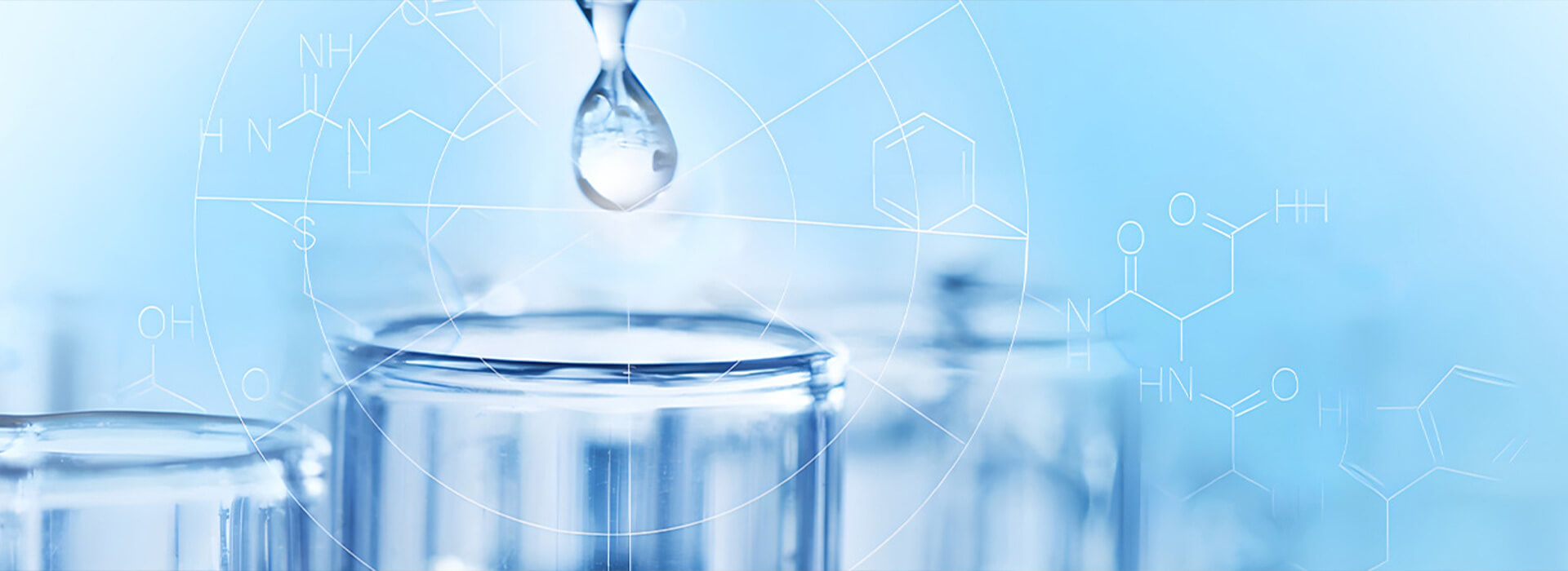 Ascent Petrochem Holdings Co., Limited