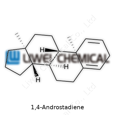 1,4-Androstadiene