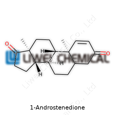 1-Androstenedione