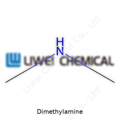 Dimethylamine