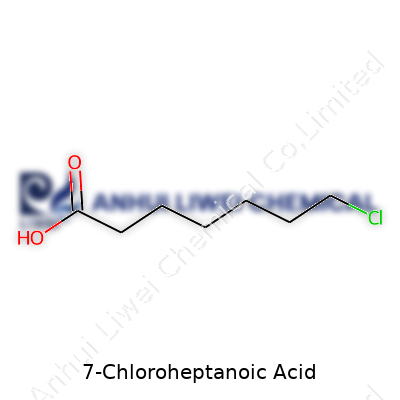 7-Chloroheptanoic Acid