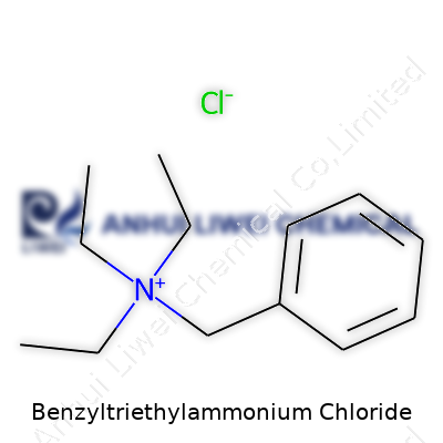 Benzyltriethylammonium Chloride