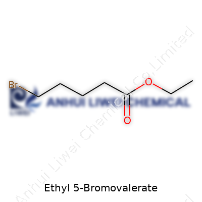 Ethyl 5-Bromovalerate