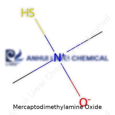 Mercaptodimethylamine Oxide