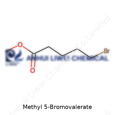 Methyl 5-Bromovalerate