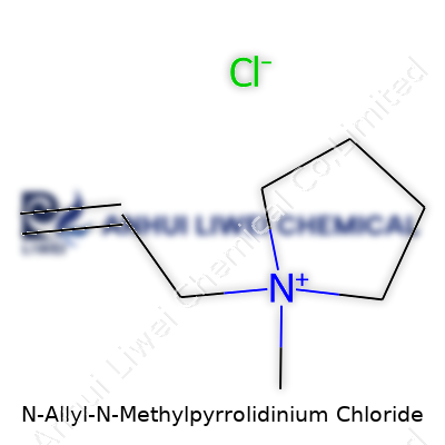 N-Allyl-N-Methylpyrrolidinium Chloride
