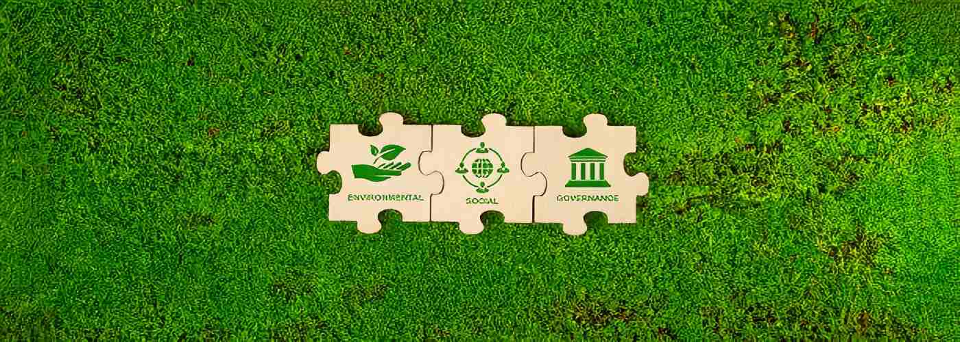 Anhui Liwei Chemical Co,Limited