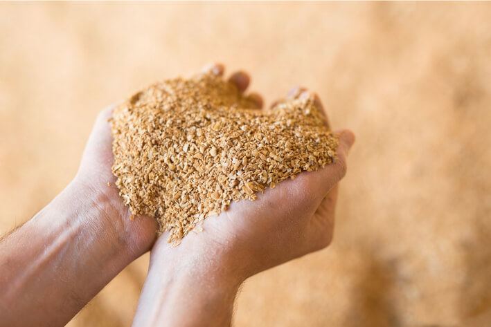 Advances in DL-Methionine Nutrition Science and Its Expanding Role in Sustainable Feed Formulations