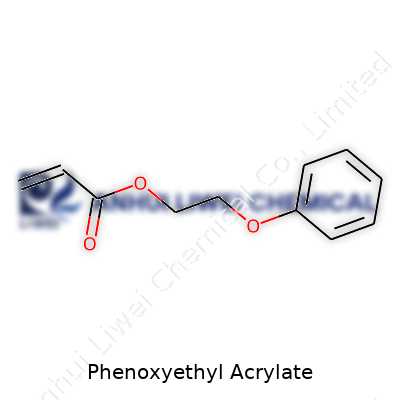 Phenoxyethyl Acrylate