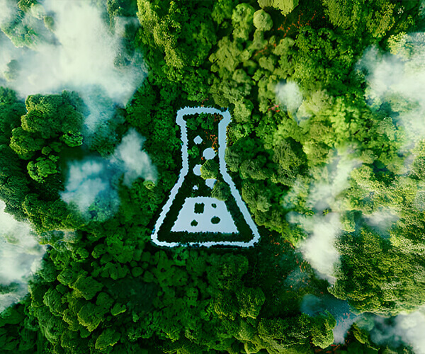 Anhui Liwei Chemical Co., Limited